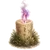 Програмна свічка