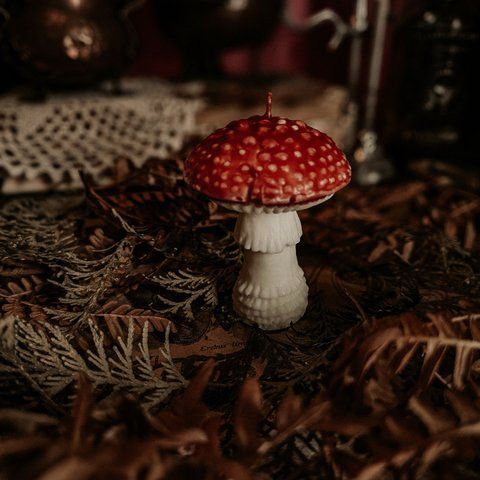 Мухомор середній &deg; соєвий віск 046 фото