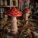 Мухомор високий &deg; великий 047 фото 1